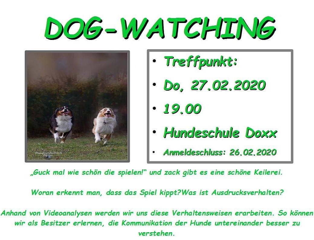 Dogwatching 20200227