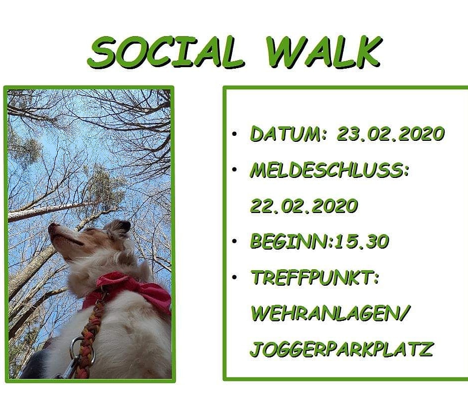 Social Walk 2020 02 23