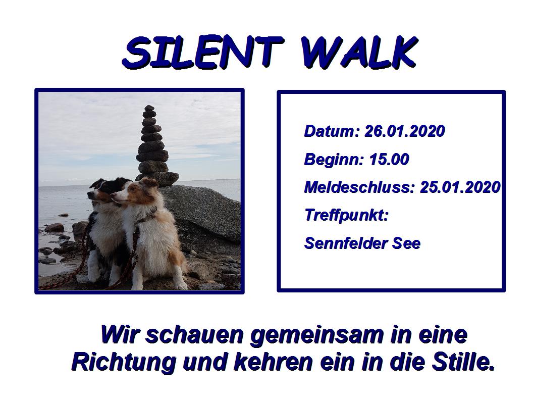 schweinfurt silent walk 2020 01 26